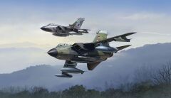Revell Tornado Twin Pack 50.Yıl Özel Panavia Tornado Model Kit (03801)