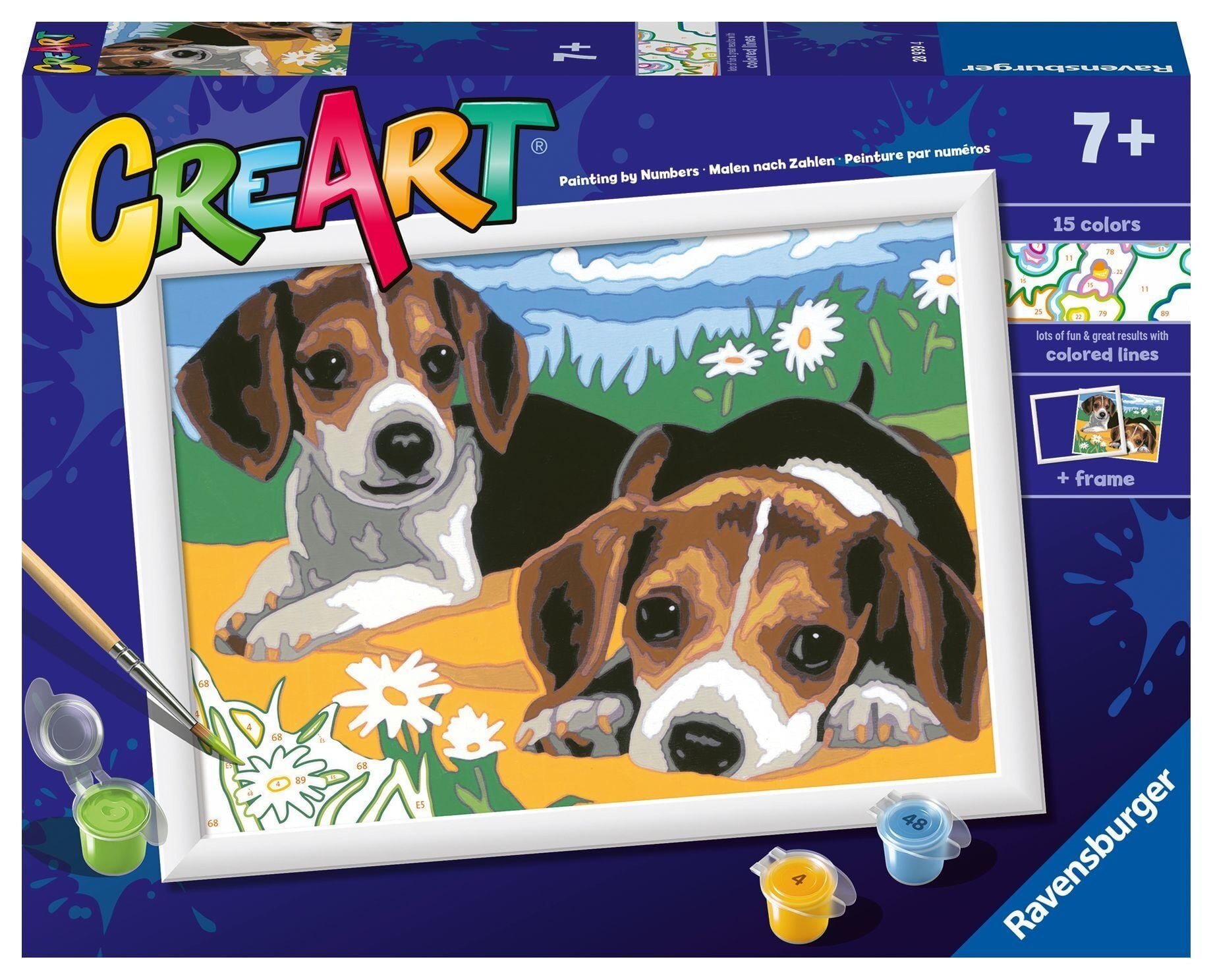 Creart Beagle Yavruları - Sayılarla Boyama Hobi Seti (289394)