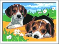 Creart Beagle Yavruları - Sayılarla Boyama Hobi Seti (289394)