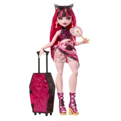Monster High Gizemli Arkadaşlar Tatil Bebeği JDR49 - Draculaura Jdr50