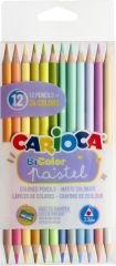 PASTEL RENK KURU BOYA KALEM ÇİFT TARAFLI 12'Lİ (24 RENK)