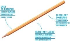 PASTEL RENK KURU BOYA KALEMİ 24'LÜ