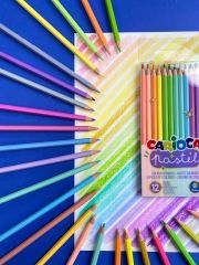 PASTEL RENK KURU BOYA KALEMİ 24'LÜ