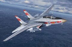 Revell Model Set Grumman F-14A Tomcat (63782)