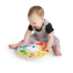 Hape Baby Einstein Dokunmatik Aktivite Oyuncağı