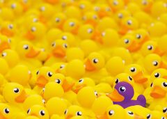1000 Parça Puzzle Plastik Ördekler (120005872)