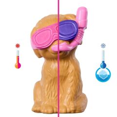 Barbie Köpekçikle Havuz Partisi- JBF35