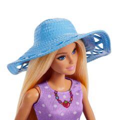Barbie Malibu ve Chelsea Kıyafetleri ve Aksesuarları- JBF43