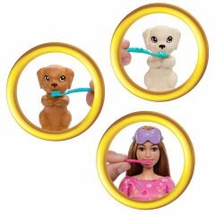 Barbie ve Köpekçikleri Pijama Partisi- HXN01