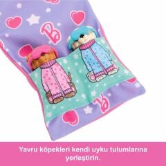 Barbie ve Köpekçikleri Pijama Partisi- HXN01
