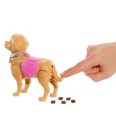 Barbie ve Köpekçiğin Yürüyüş Zamanı- JJB46