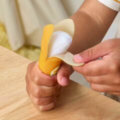 Fisher Price Kamp Zamanı Sandviç Kutusu- JLC01