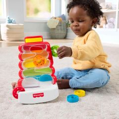 Fisher Price Renkli Halka Kulesi- JLB81
