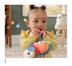 Fisher-Price Zıp Zıp Kaplumbağa HKD62