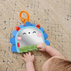Fisher Price Eğlenceli Kirpi Ayna- JHB45