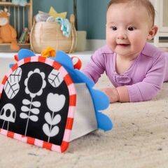 Fisher Price Eğlenceli Kirpi Ayna- JHB45
