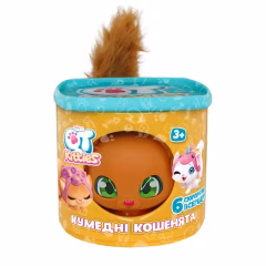 QT Kitties Ginger Yavru Kedi