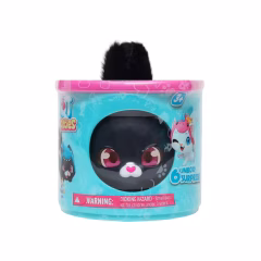 QT Kitties Ash Yavru Kedi