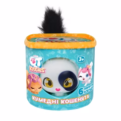 QT Kitties Candy Yavru Kedi