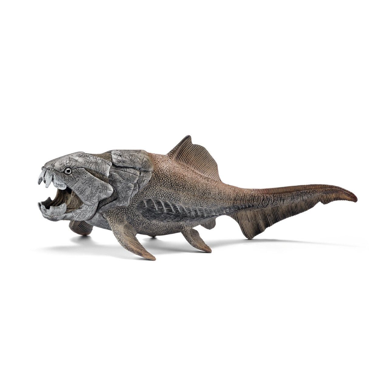 Dunkleosteus (14575)