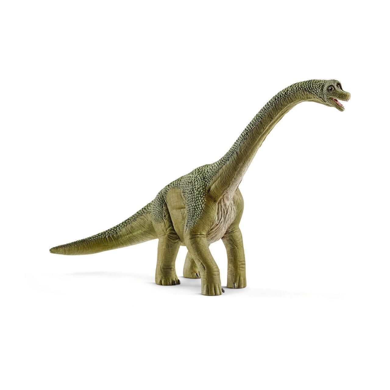 Brachiosaurus (14581)