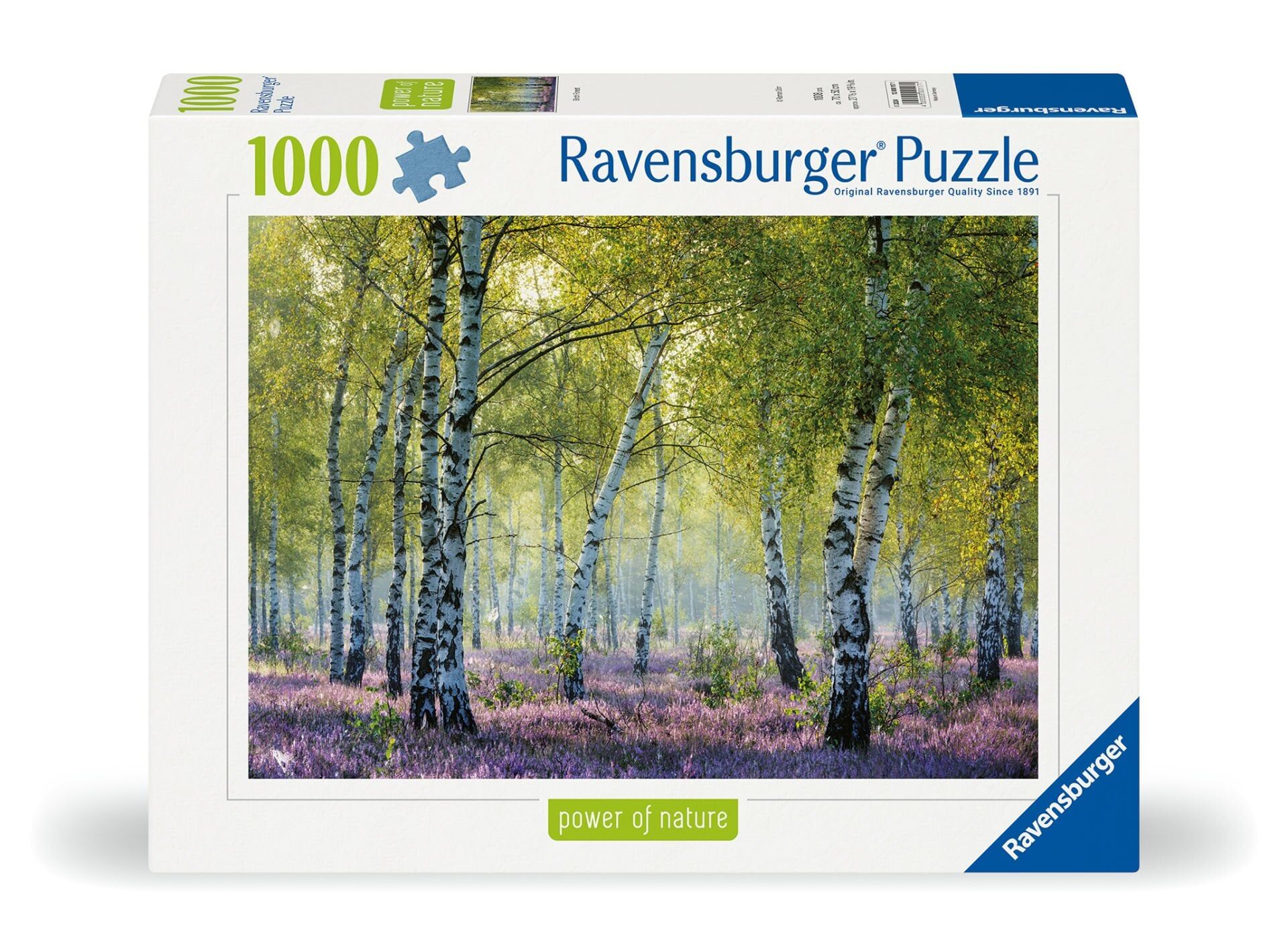 1000 Parça Puzzle Huş Ormanı (120001171)