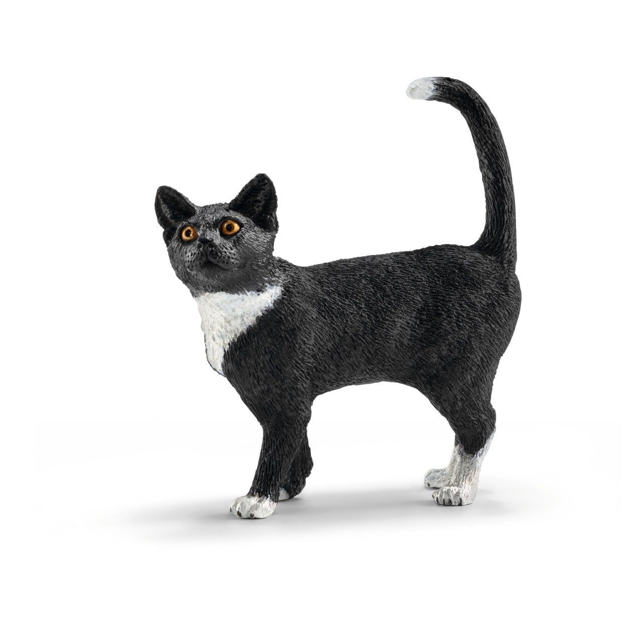 Ayakta Kedi (13770)