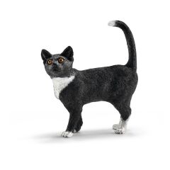 Ayakta Kedi (13770)