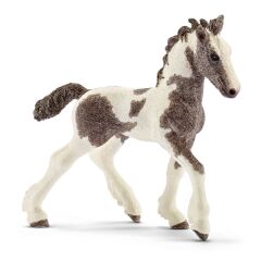 Tinker Tay (13774)
