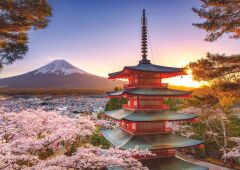 1000 Parçalı Puzzle Japon Kiraz Ağacı (120005827)