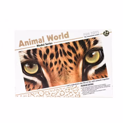 Animal World Ayı