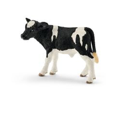 Holstein Buzağı (13798)