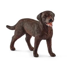 Dişi Labrador Retriever (13834)