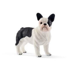 Fransız Bulldog (13877)