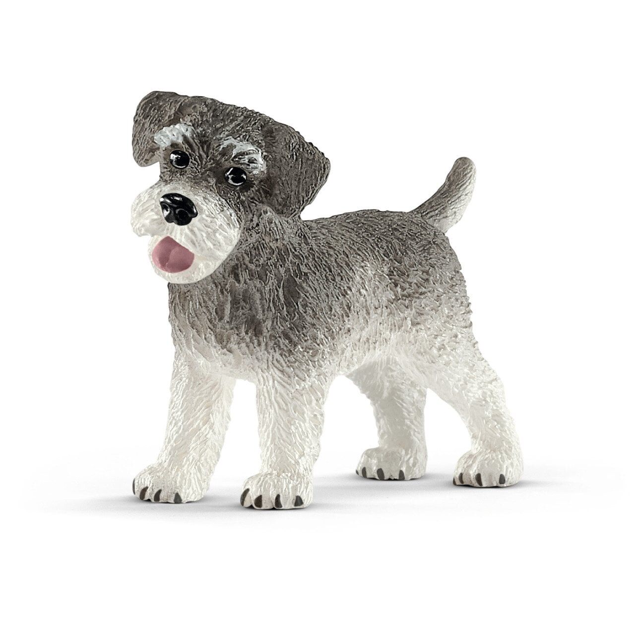 Minyatür Schnauzer (13892)