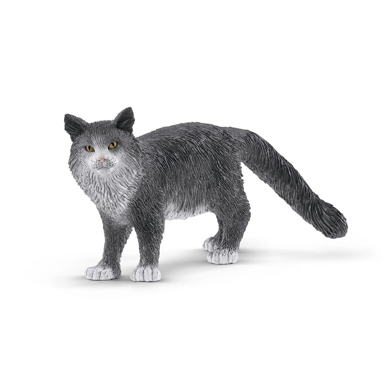 Maine Coon Kedi (13893)