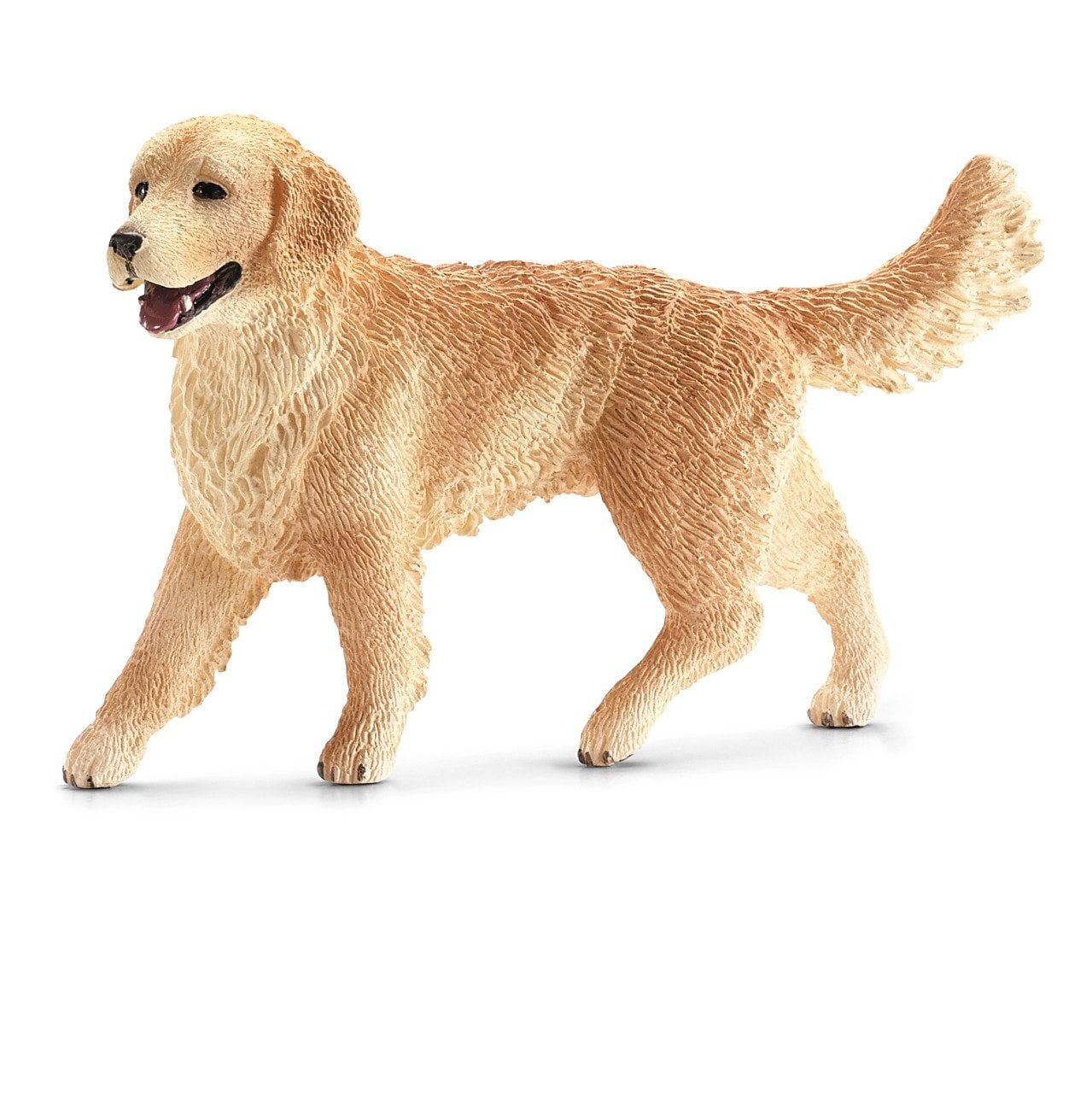 Dişi Golden Retriever (16395)