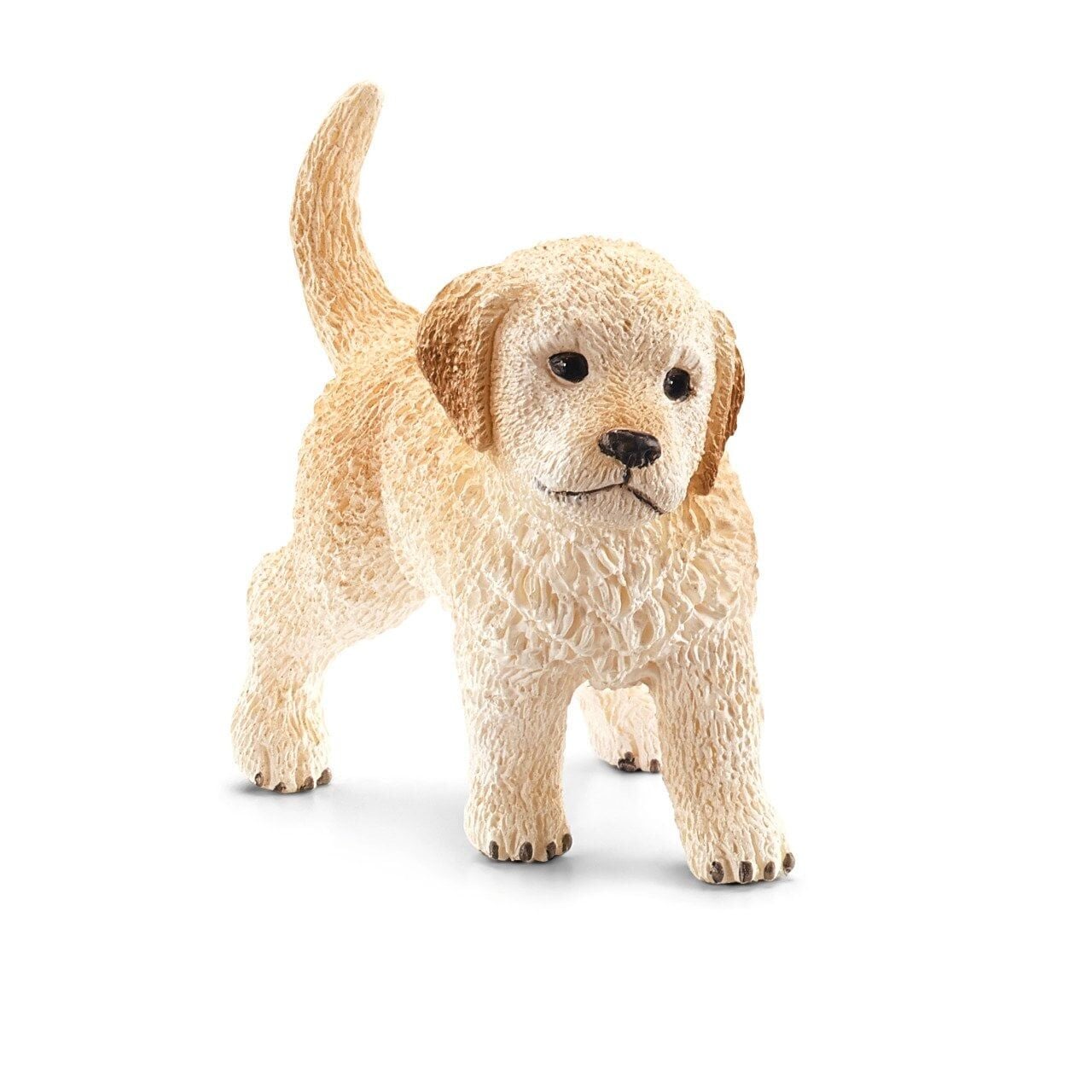 Yavru Golden Retriever (16396)