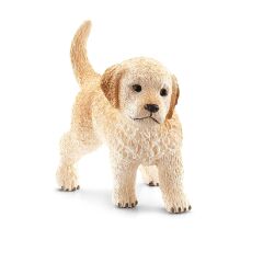 Yavru Golden Retriever (16396)