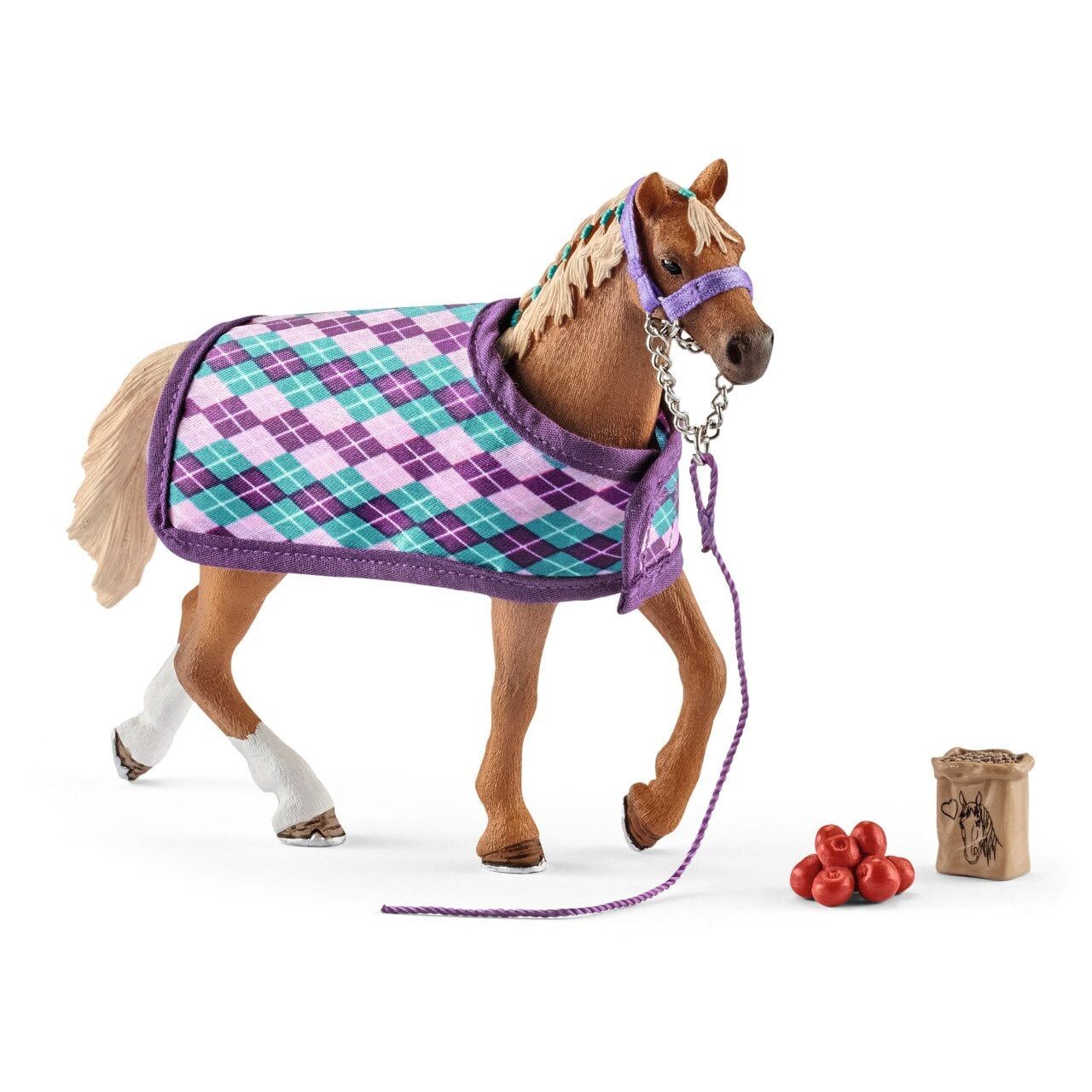 Thoroughbred Seti (42360)