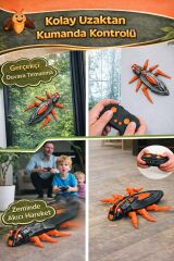 Uzaktan Kumandalı Duvara Tırmanabilen Robot Böcek Oyuncak – LED Işıklı & USB Şarjlı