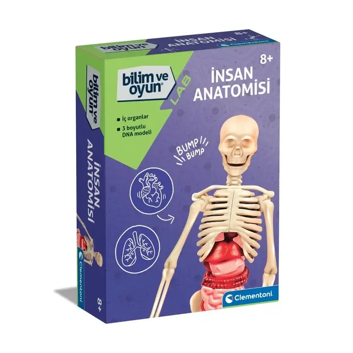Clementoni Bilim ve Oyun - İnsan Anatomisi-  64297
