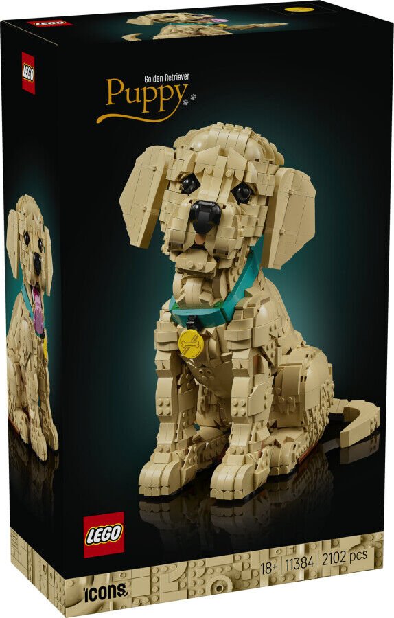 11384 LEGO® Icons Yavru Golden Retriever