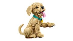 11384 LEGO® Icons Yavru Golden Retriever