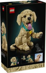 11384 LEGO® Icons Yavru Golden Retriever