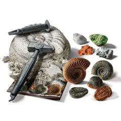 Clementoni Bilim ve Oyun - Fosiller ve Mineraller Kazı Seti-  64336