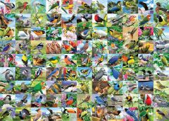300 Parça Puzzle Kuşlar (169375)
